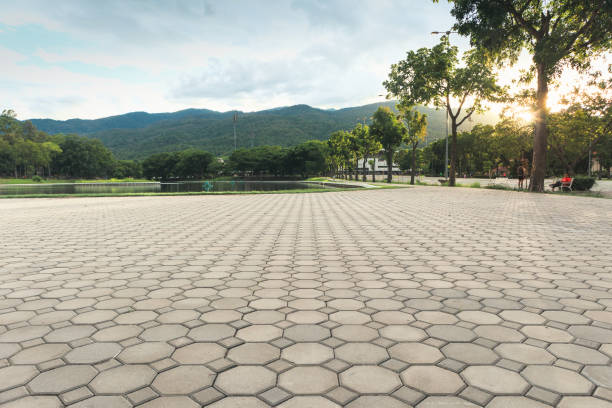 Best Decorative Driveway Pavers  in Lla Lla East, WA