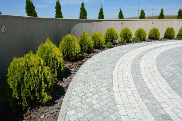 Best Professional Driveway Pavers  in Lla Lla East, WA